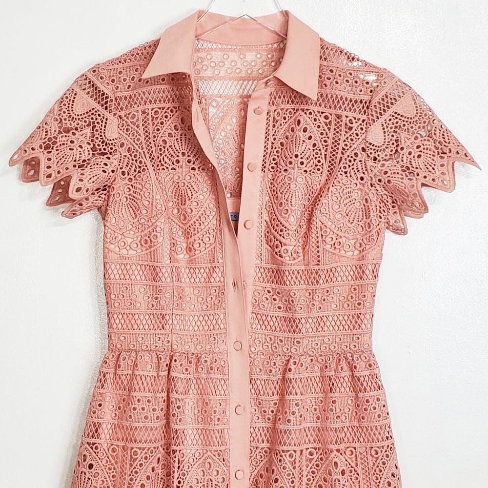 ANTONIO MELANI Blush Pink Lace Shirt Dress - Picture 5 of 14